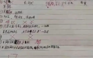 老师批作业写侮辱性评语?校方回应：将会调查此事，情况属实将会约谈这名老师 ！