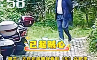 男子自带电瓶偷“僵尸车” 全程戴头盔实施 被抓后：拍不到脸以为抓不到 !