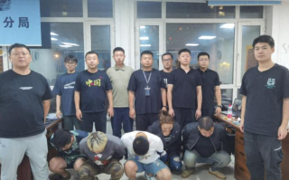 哈尔滨“宝妈”群13人被抓：涉案金额高达500余万元 ！