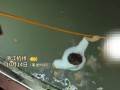 男子将救人视频发短视频平台遭被救女子举报：因“侵犯肖像权” !