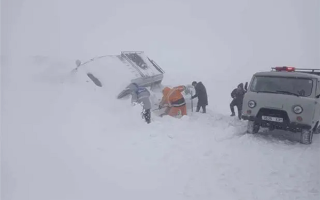遭遇50年不遇雪灾！蒙古国入冬以来已损失超60万头牲畜 ！