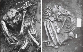 世界已知最古老！东南亚惊现1.2万年前木乃伊 !