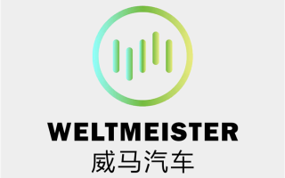 曾仅次于“蔚小理”：威马汽车正式启动重组程序 ！