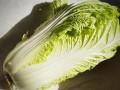 韩国“金菜危机”今年或卷土重来 去年一棵白菜售价曾超50元 !
