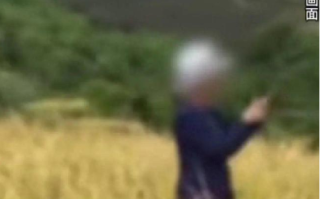 稻子被游客踩坏后老奶奶发飙：“你有钱吗，我不要你的钱，我要我的稻谷” ！