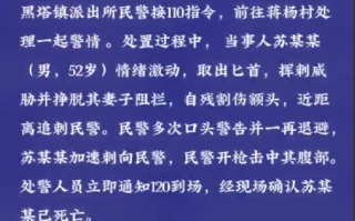 知情人称追刺民警男子当日曾殴打妻子：平时有酗酒情况 ！