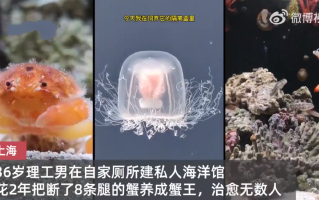 小伙在自家厕所里建海洋馆隐居6年拍科普视频 ！​直言：“只要还有人看，我就会分享下去” ！