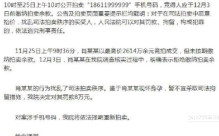 法院通报2614万恶意竞拍手机号详情：竞拍人为孕妇，对其罚款8万元 ！