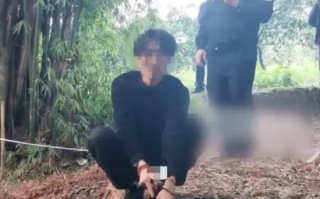 4男子因小说结识挖人祖坟被刑拘！网友：入戏太深 ！