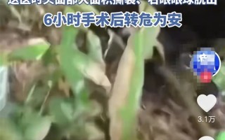 甘肃22岁孕妇遭黑熊袭击 通过装死脱险！为什么熊会放过她 !