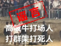 斗牛比赛现场冲突致人死亡?不实，只是双方发生了点小冲突 ！