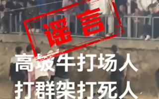 斗牛比赛现场冲突致人死亡?不实，只是双方发生了点小冲突 ！