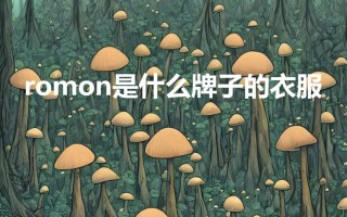 romon是什么牌子的衣服（Romon品牌的特点）