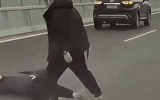 比亚迪车主见义勇为 官方回应：奖励20万元 车辆终身免费维修保养 ！