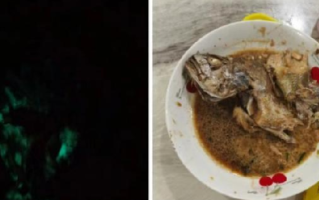 大妈买海鱼红烧后半夜发绿光！科普博主：保存时感染了发光菌类 ！