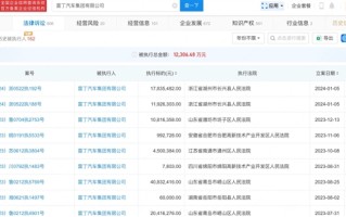 雷丁汽车再被执行2976万！总额已经超过1.2亿元 ！
