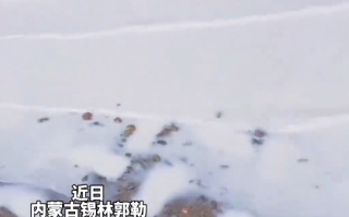 美翻！内蒙古“牛奶湖”奇观火出圈 湖水因矿物颗粒现乳白色 !