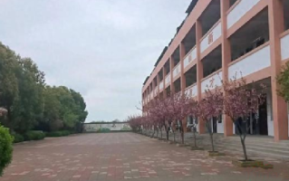 南阳一学校发生火灾致13人遇难，涉事学校业务类型为学前教育、小学教育 ！