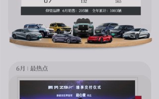 比亚迪6月各车型销量出炉：海鸥狂卖超5万辆 继续称王 ！