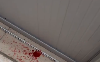 回南天女子家门口对联受潮掉色 当事人：没想到回南天这么猛 ！