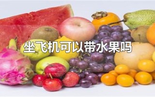 飞机上能带水果吗（解答飞机上携带水果的规定） ！