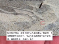 女子在沙滩玩20分钟捡了小半兜钉子！当事人：不知道是不是人为的，已报警 ！