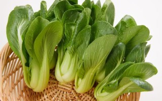 上海青和油菜的差异（对比上海青和油菜的区别） ！