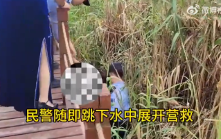 大妈为自拍不慎踩空掉进芦苇荡：民警救援现场掌声一片 ！