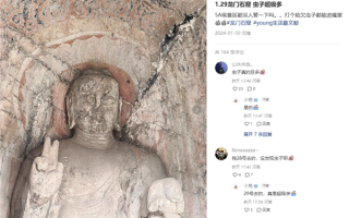 打哈欠能飞进嘴里！游客吐槽龙门石窟飞虫多 景区：已灭虫 ！