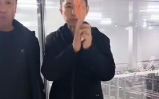 淀粉肠生产企业董事长直播吃淀粉肠：食品质量请大家放心 ！