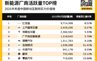 中国新能源汽车活跃量TOP 10出炉：特斯拉第三 吉利银河最猛 !