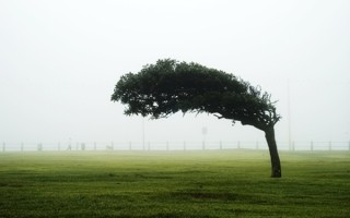 南昌突起强风 男子抱住大棚被吹飞 ！