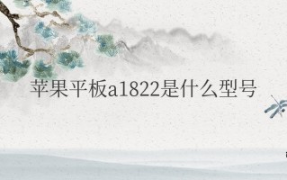 苹果平板a1822是什么型号（iPad第5代型号尺寸）