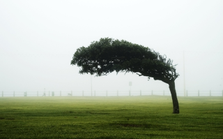 江西这场堪比台风的大风如何形成 专家解释原因 ！