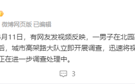 济南高架惊现“蝙蝠侠贴地飞行”：速度快过小轿车 !