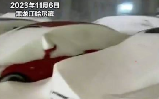 黑龙江暴雪后找车全靠挖：认车靠猜，找车靠挖，还有可能挖到一半发现挖错了 ！