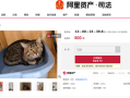 主人因欠钱3岁狸花猫被法拍 身价暴涨 宠物店老板娘也要竞拍 !