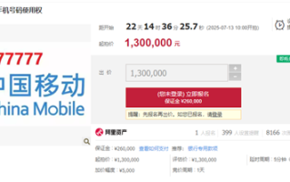 每月需消费1500元！尾号77777777手机号130万元起拍 !