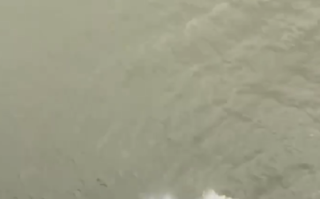 浙江跳桥救人小哥记一等功：其义举感动全网 ！