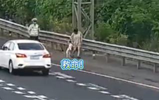 狗在车内拉屎 高速上停车铲屎 司机：应急车道不就是应急的吗?