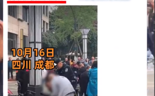 大型犬主人被孩子家长砍伤?假的，是谣言 ！