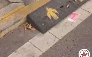 街道现满地百元大钞路人笑称不敢捡: 千万别刮风 ！