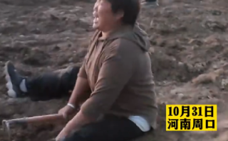 种植户药材遭村民哄抢 官方通报：机械发生故障，村民误认为第二遍已收割完毕 ！