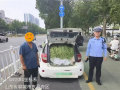 山东“豆橛子”又爆仓了 A00级小汽车塞满豆角 轮胎都压瘪了 !
