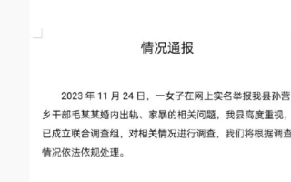 河南一乡镇干部出轨家暴?官方通报：已成立联合调查组，对相关情况进行调查 ！