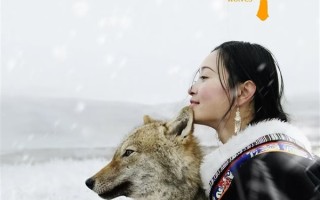 《重返狼群》再度爆火！作者李微漪回应：狼王格林已不在了 ！