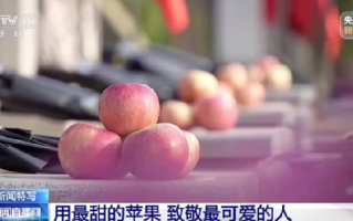 沈阳市民带1800个苹果祭扫英烈 ！网友：再也不用8名战士分1个苹果了 ！