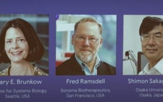 2025年诺贝尔生理学或医学奖公布！三位科学家获奖 奖励832万元 ！