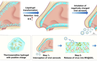 我国科学家研发出“鼻内口罩”：鼻腔内对病毒拦截、灭活 ！
