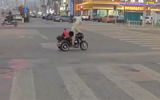 宠物狗骑电动车带另一只狗上街引争议 当地交警回应 ！